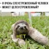 елеустремленный)))))) елеустремленный))))))