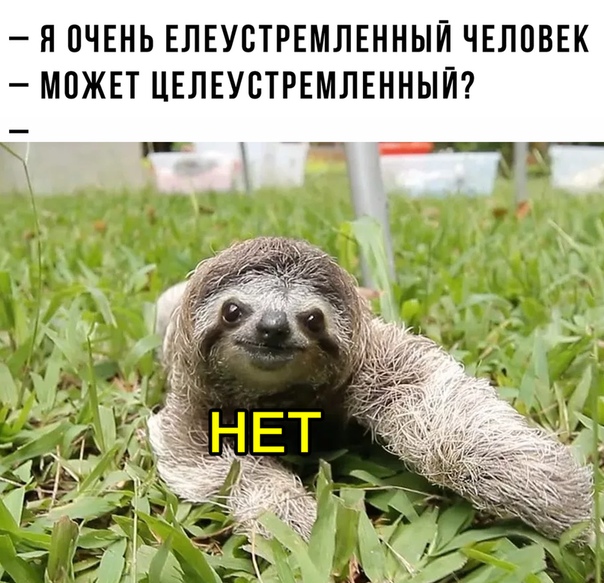 елеустремленный))))))