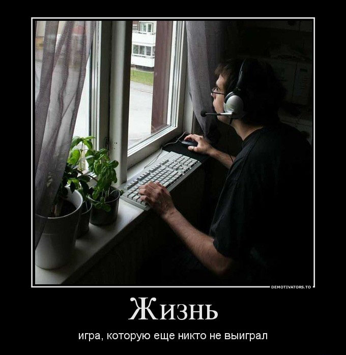 Жизнь