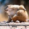 В поисках приключений
