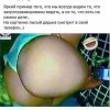 Лысый дядька