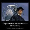Образование-не показатель интеллекта Образование-не показатель интеллекта