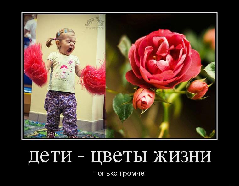 Дети-цветы