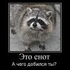 ночной питер