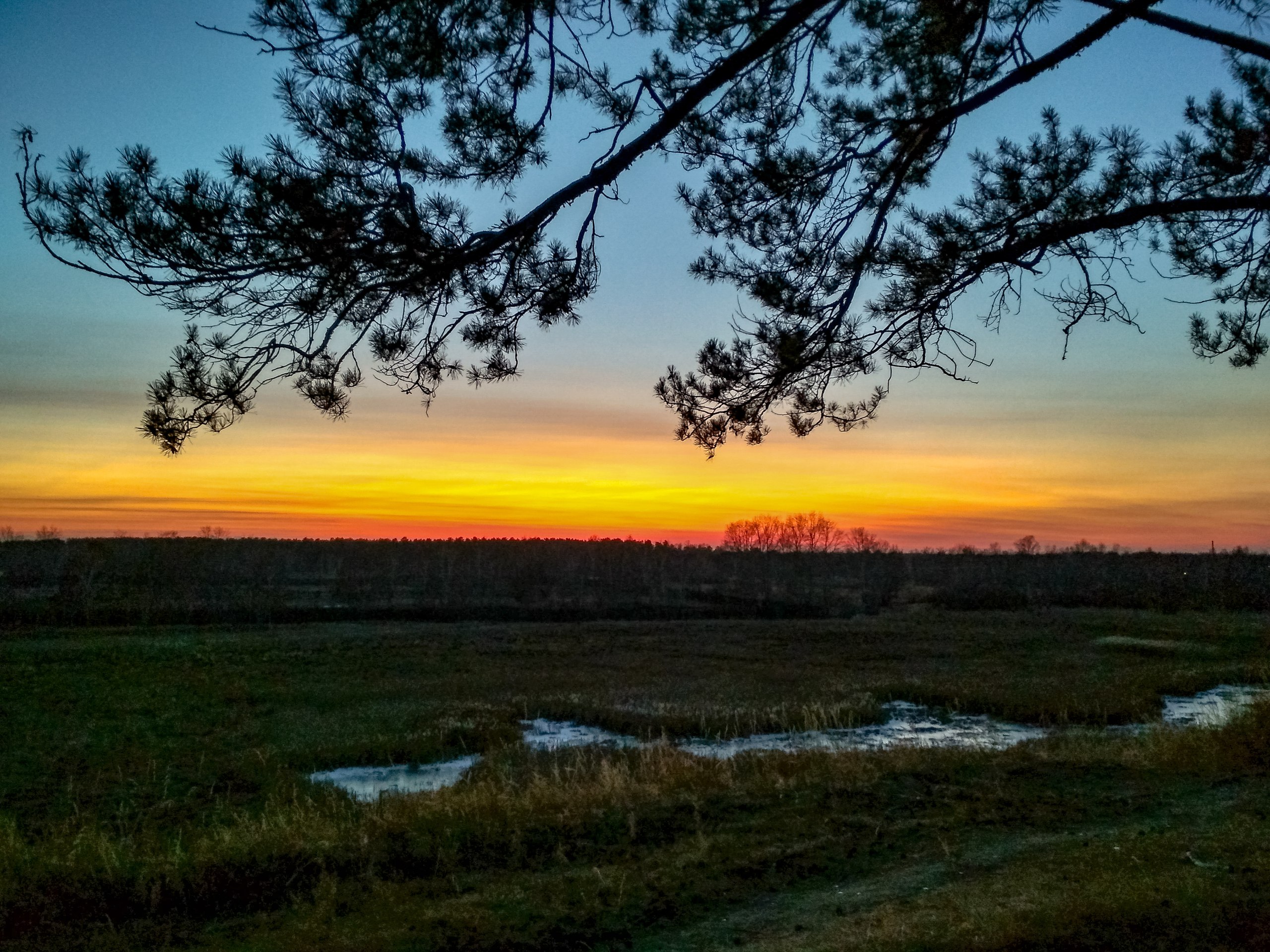 Закат над прудами