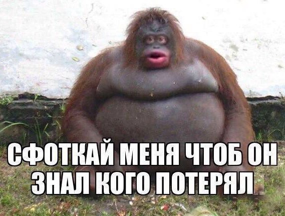 На память