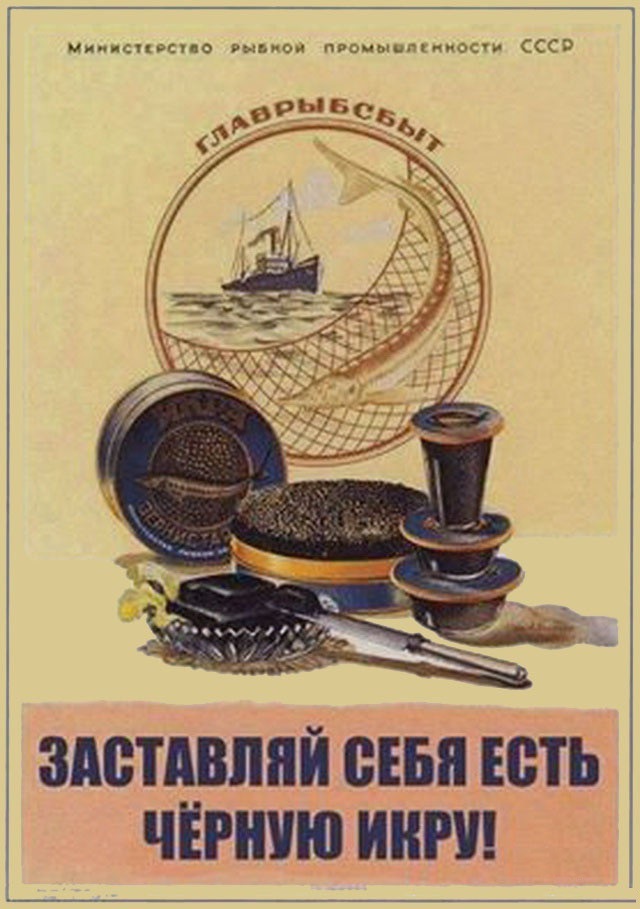 Черная икра