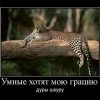 Грация и шкура Грация и шкура