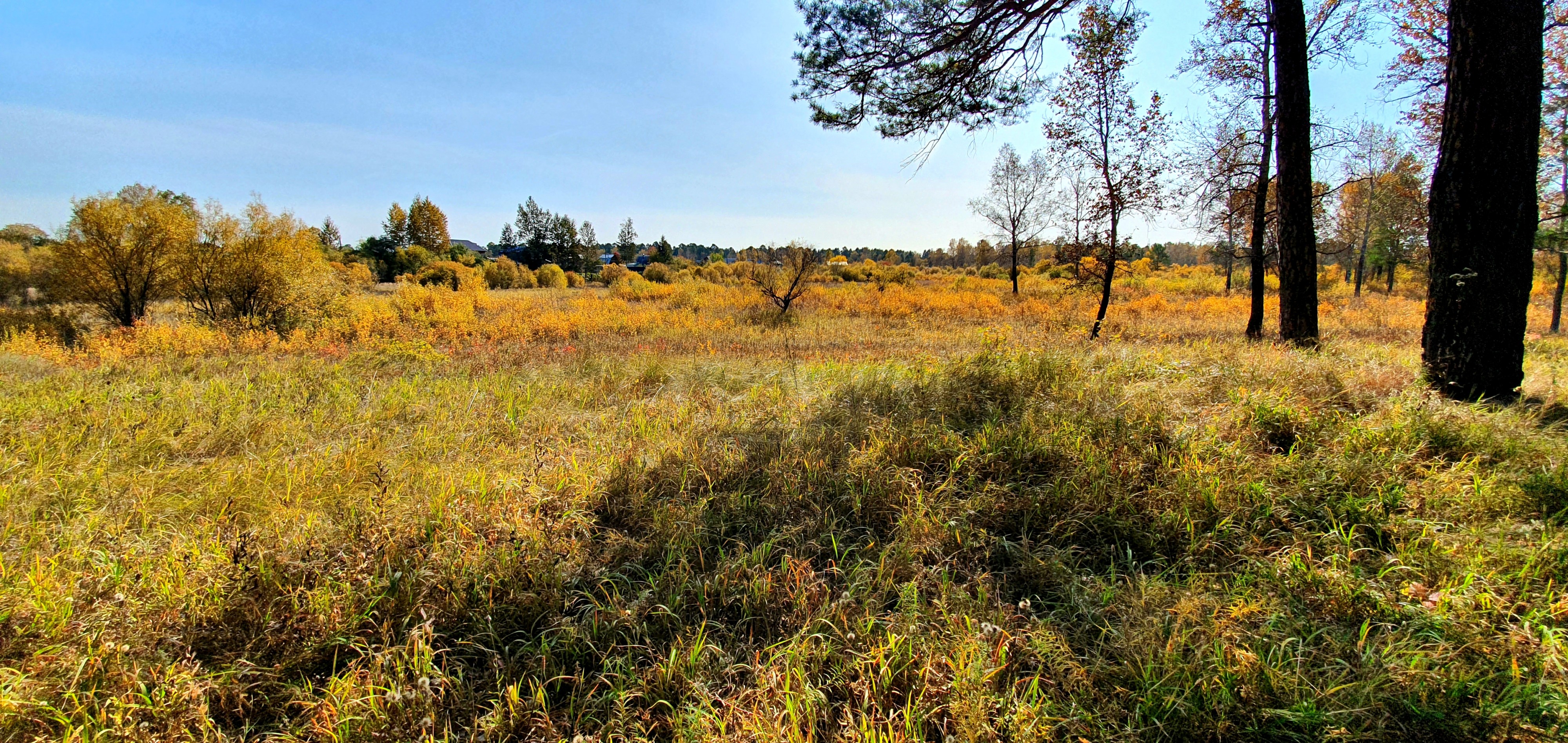 Мое, осень, очень, Ангарск,  Китой)))))