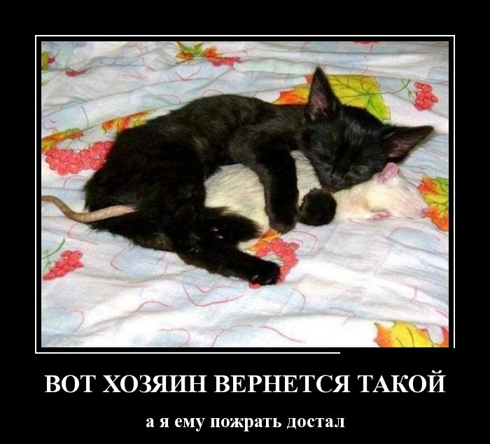 Сон час