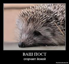 не обижай ежа