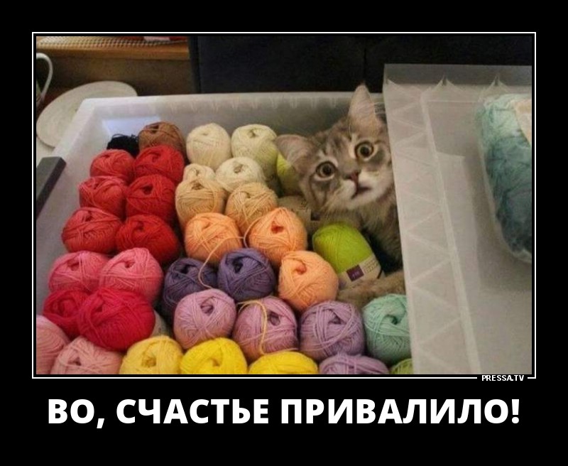 Счастье привалило