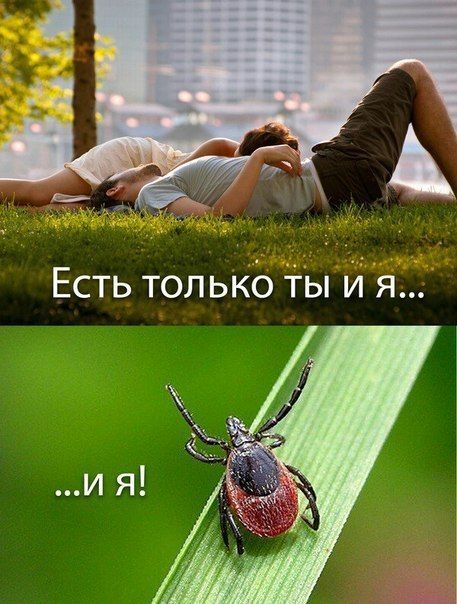 Есть только ты и я...