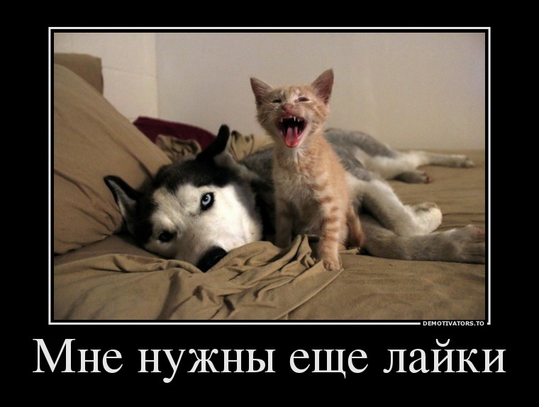 4957495 mne-nuzhnyi-esche-lajki