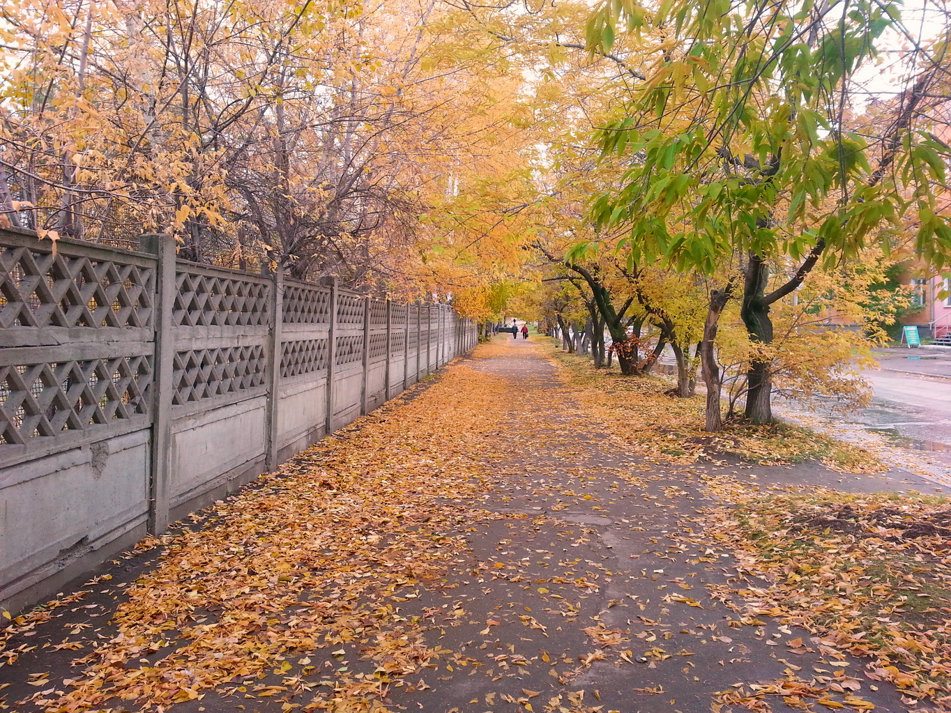 забор вдоль Ермака.....