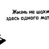 Без мата не обойтись