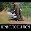 Прислонился Прислонился