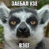 надаел узе взем!!!!!! надаел узе взем!!!!!!