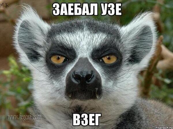 надаел узе взем!!!!!!