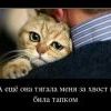 Обидели))