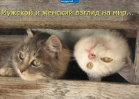 Небо))) — нет, море!!!)))))))))) Небо))) — нет, море!!!))))))))))
