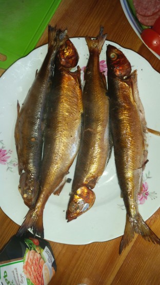 ыпка)))) ыпка))))