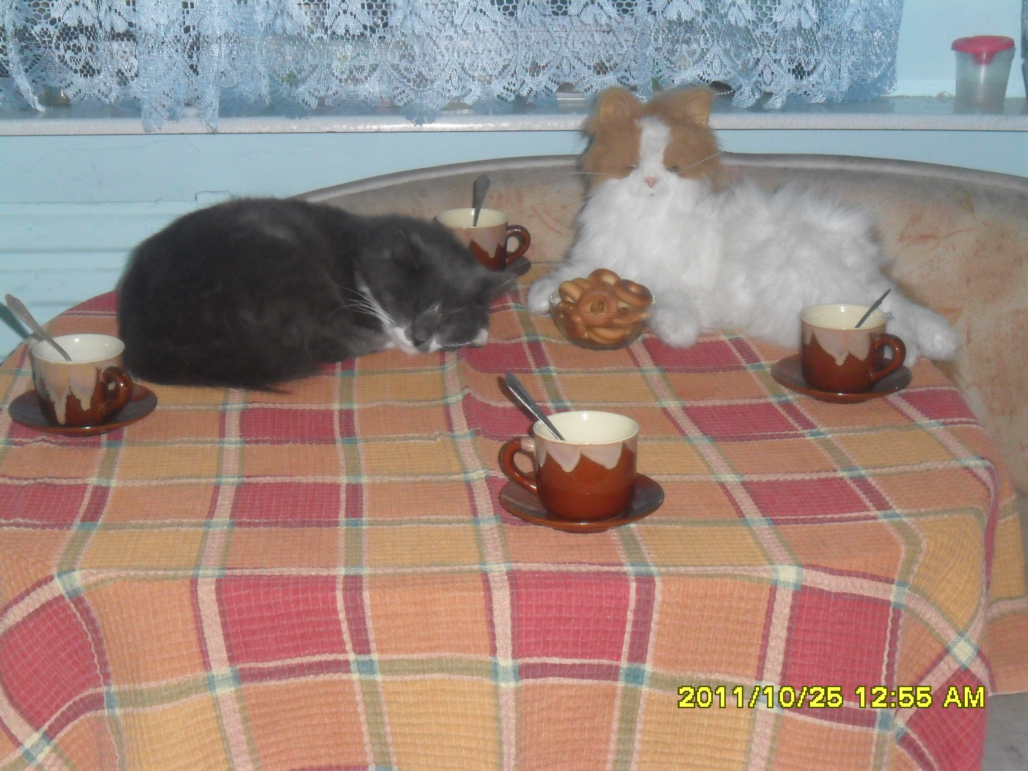 чаю попил, сушек поел, можно и поспать.