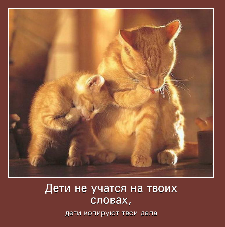 Дети,копируют ваши дела
