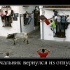 Начальник после отпуска
