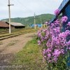 В порту Байкал