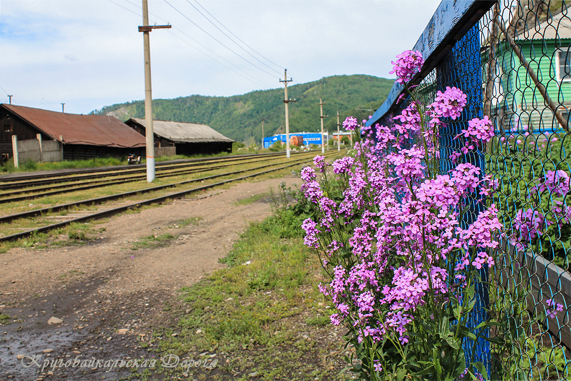 В порту Байкал