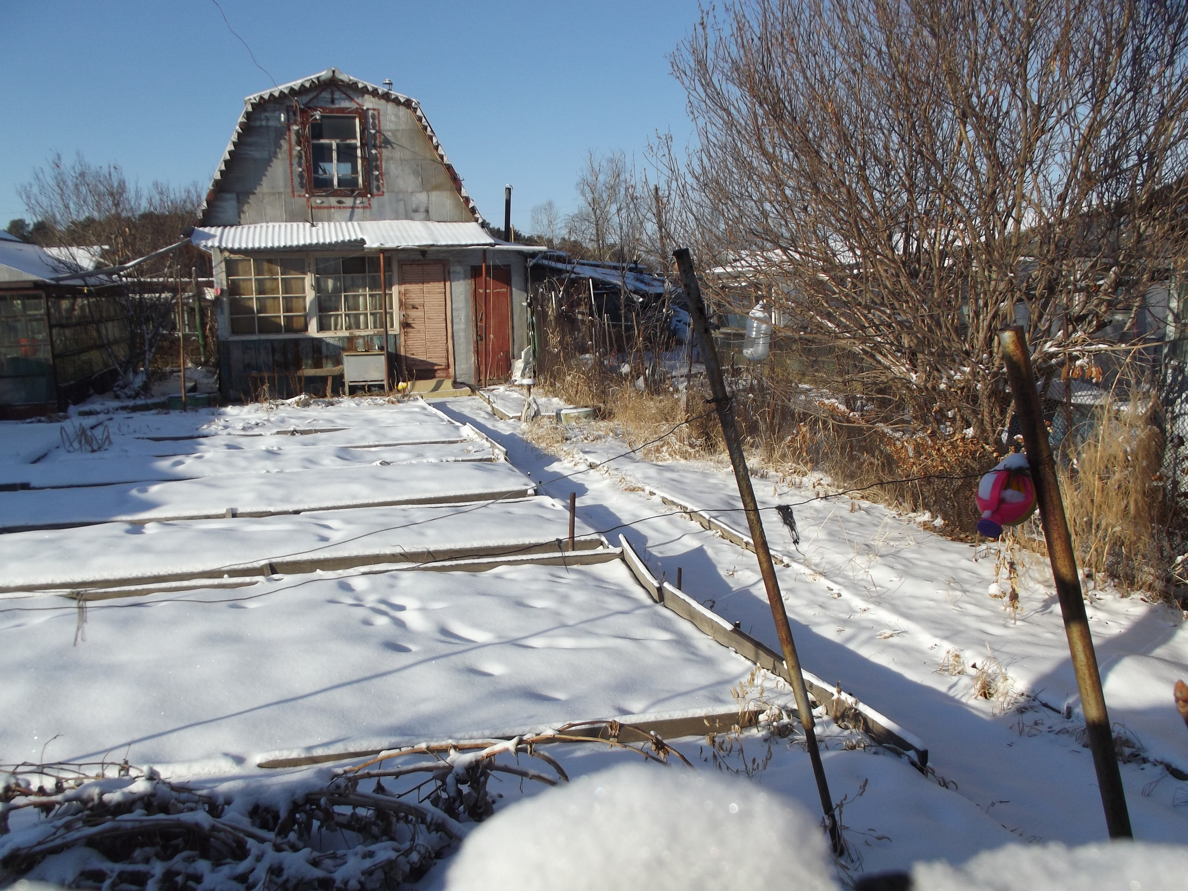 На Сирёгиной даче взё збагойно