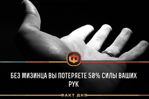 Без названия