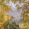 Осень в берёзовой рамке