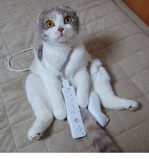 что посмотреть ?