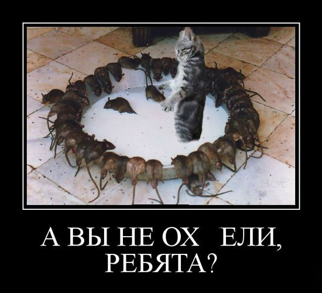А вы ребята не  ох