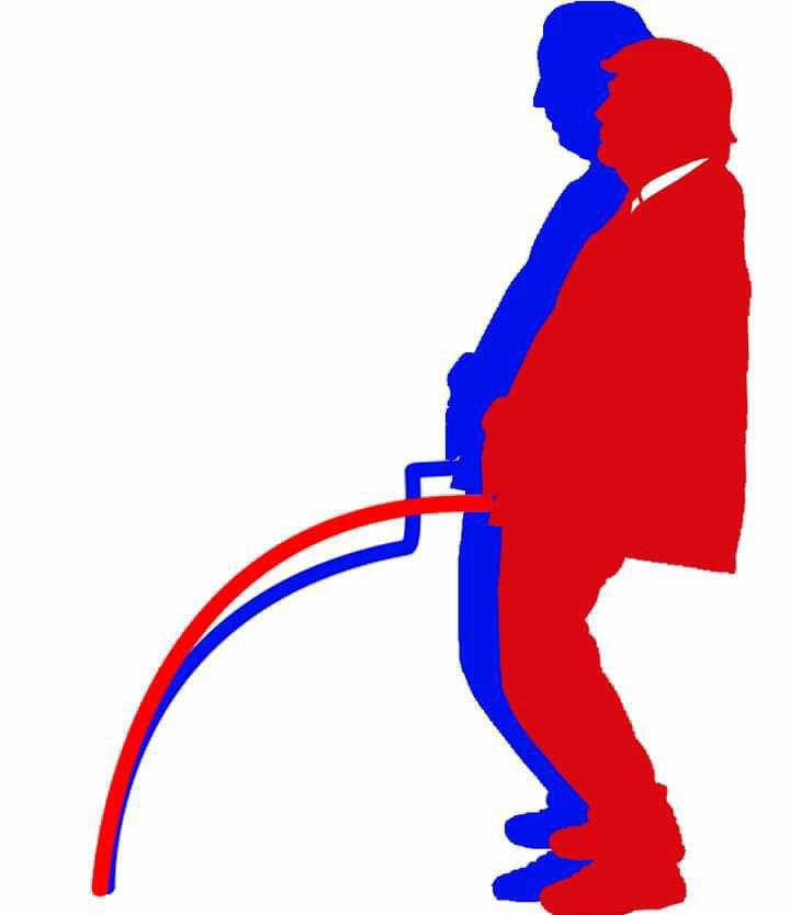 Проголосовало 2020% избирателей. Оплод Бобра