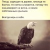 Верь в себя