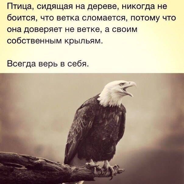 Верь в себя