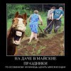 Майские праздники на даче