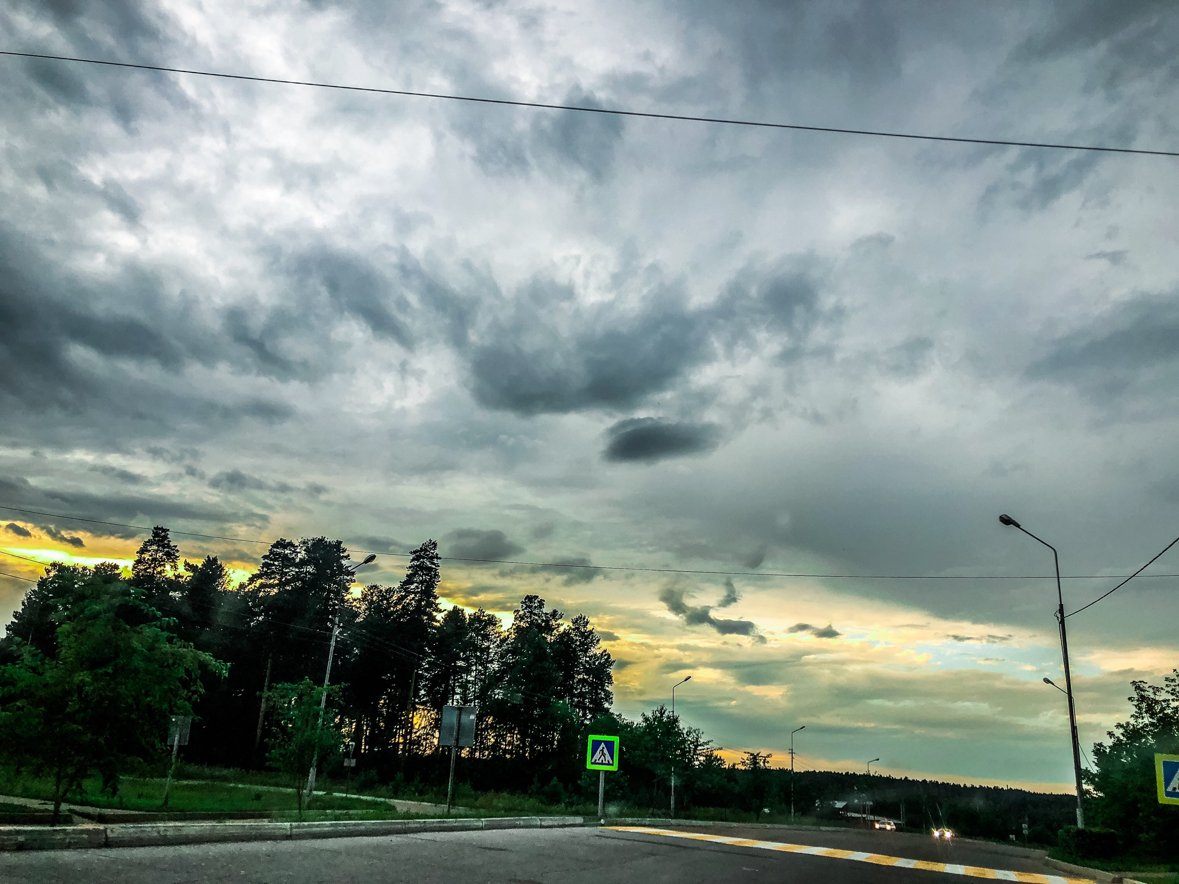 Лось и лиса...