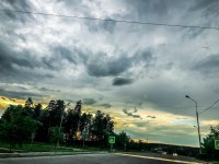 Лось и лиса...