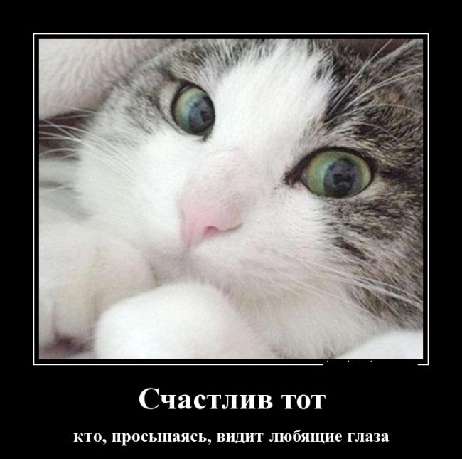 Счастливый)