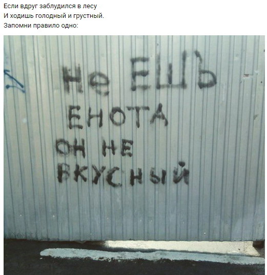 не ешь енота)))))))