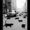 Прогноз на день