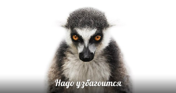 нада узбагоица))))))