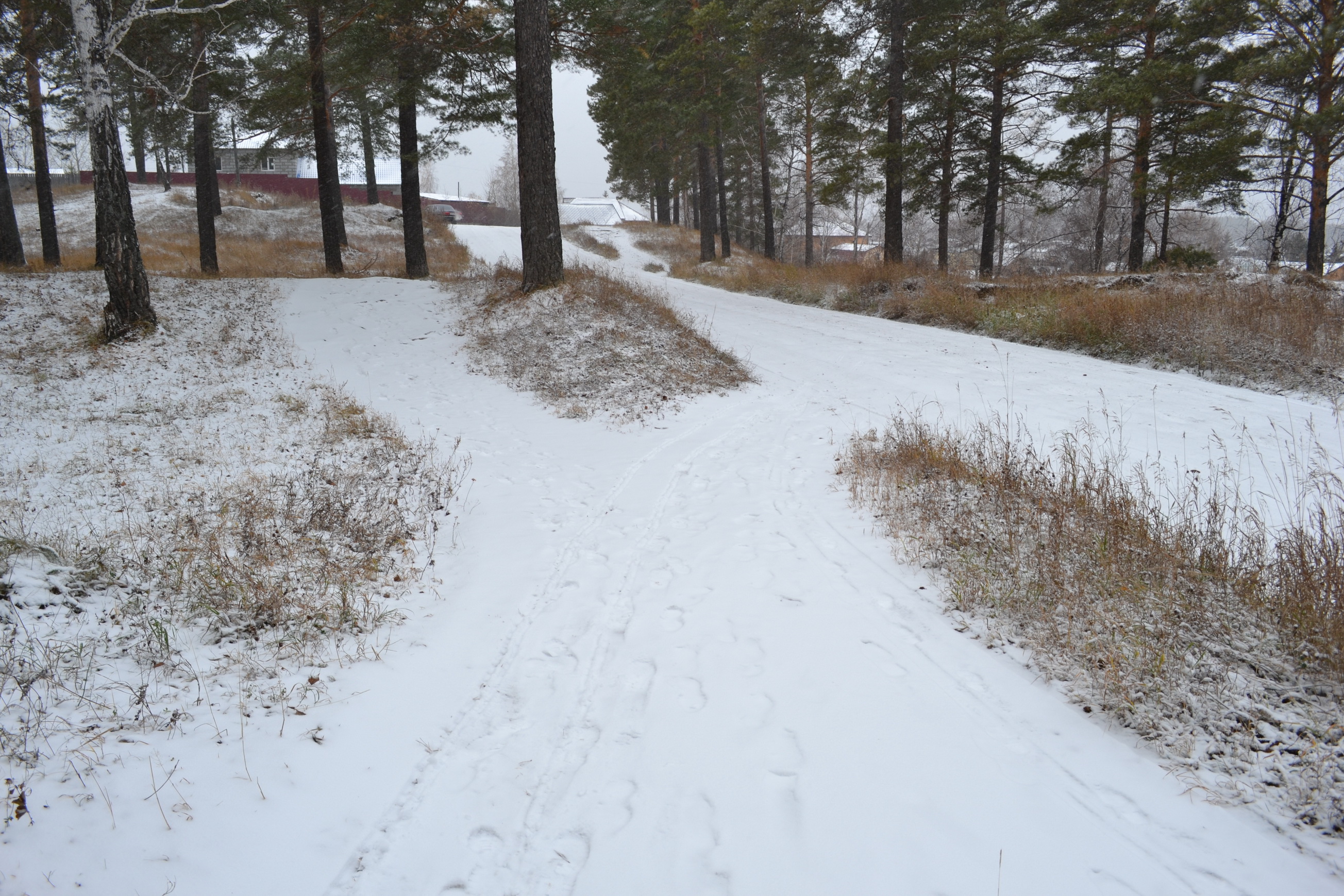 Дарошки раздваяйца)))))