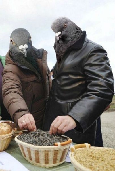 1353266629 no sign of photoshop here 640 28