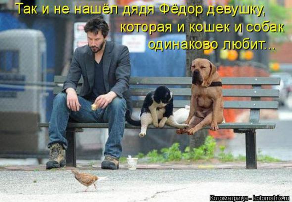 6d2812b02fba4080d5be8fb18e7 prev