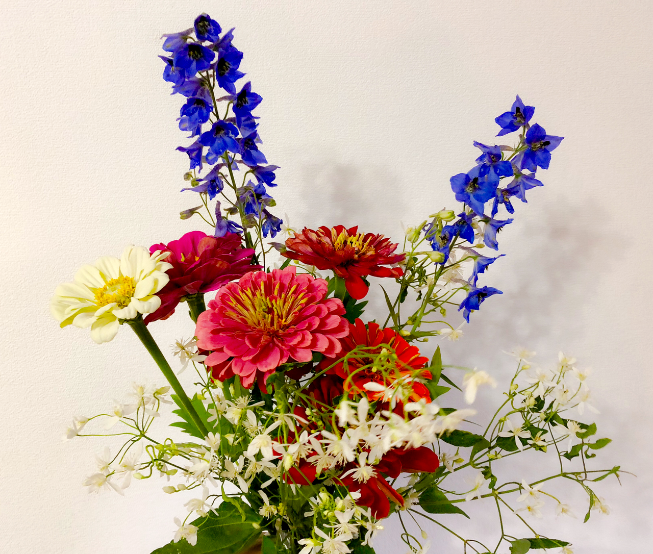 Милым ЖАшницам...